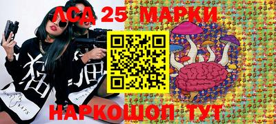 ПСИЛОЦИБИНОВЫЕ ГРИБЫ Заволжье