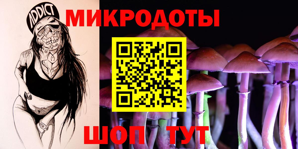 Псилоцибиновые грибы мицелий Луховицы